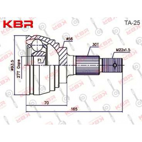 TA25   -   OUTBOARD C V JOINT